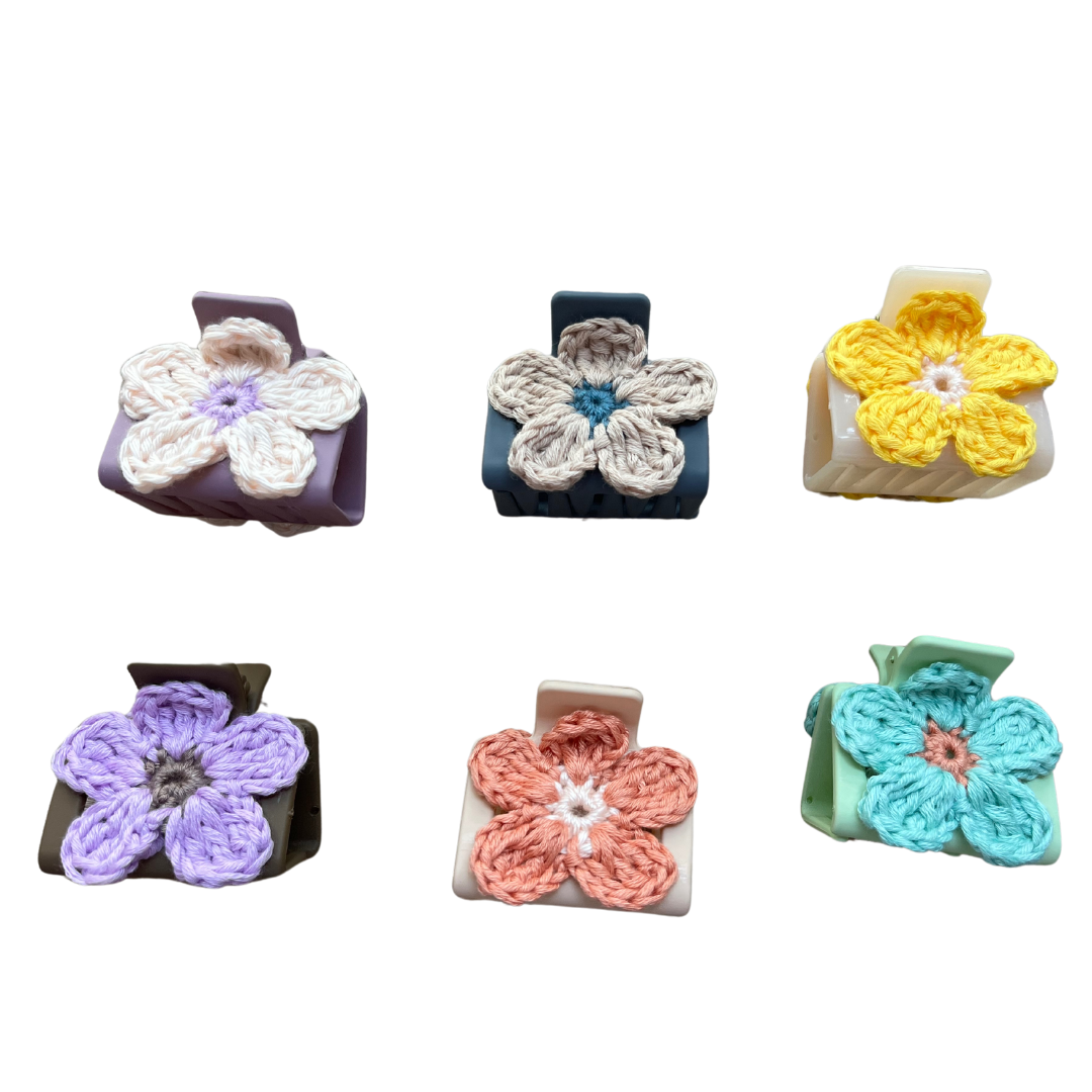Small Claw Hair Clip